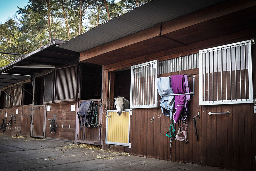 Aussenansicht Stall